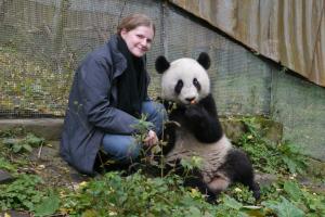 Visitor with Giant Panda in bifengxia base